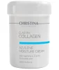 Увлажняющий крем для нормальной кожи Christina Elastin Collagen Azulene Moisture Cream with Vitamins A E &amp; HA 250 мл - 1