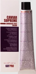 Стійка безаміачна крем-фарба Caviar 100 мл, 10.1 Платиновий попелястий блондин