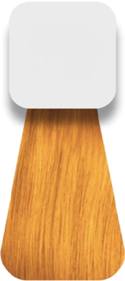 Крем-фарба для волосся NOOK THE ORIGIN COLOR Коректор GOLD, 100 мл